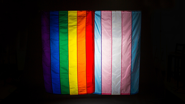 lgbt rainbow and trans flags against black background